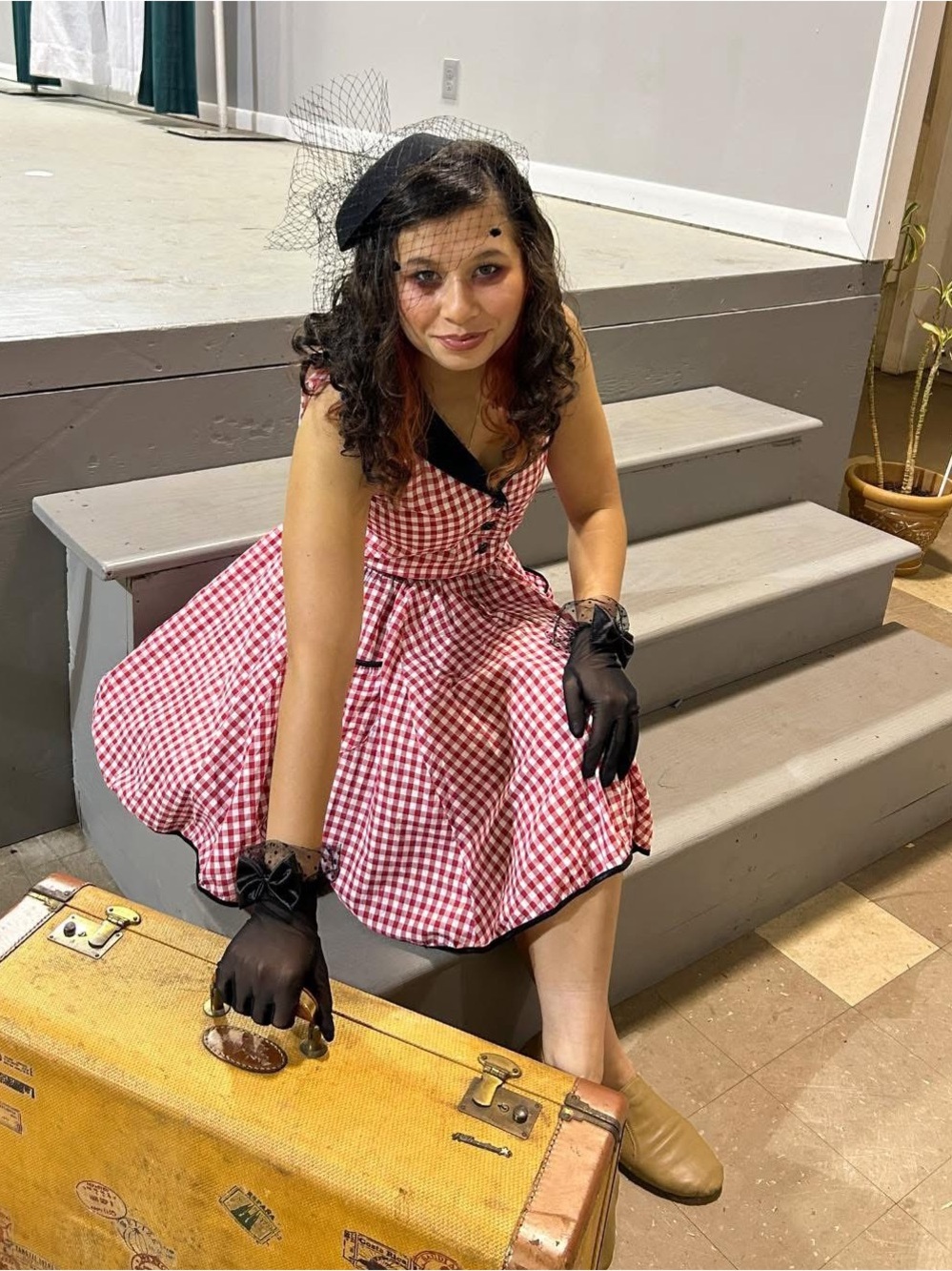 Weissman Pink and Black Gingham Fit-and-Flare Dress